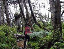 Canada-British Columbia-West Coast Trail - backpacking